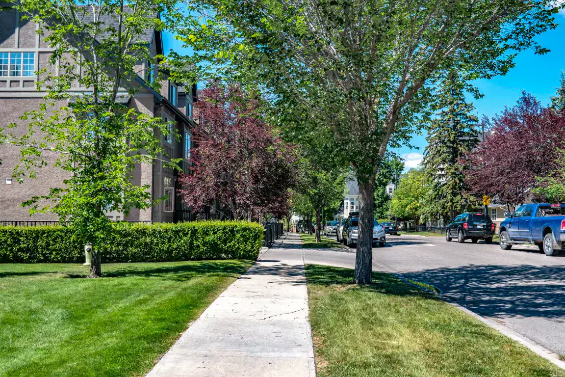 A residential street in Altadore